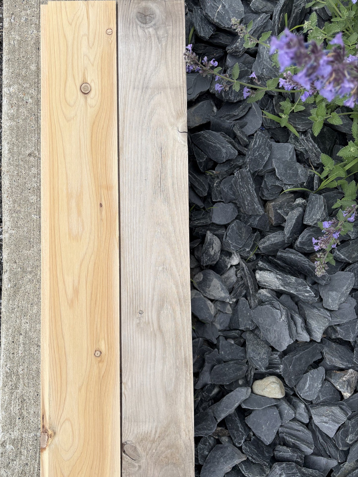 Woodforce Accel et planche naturel